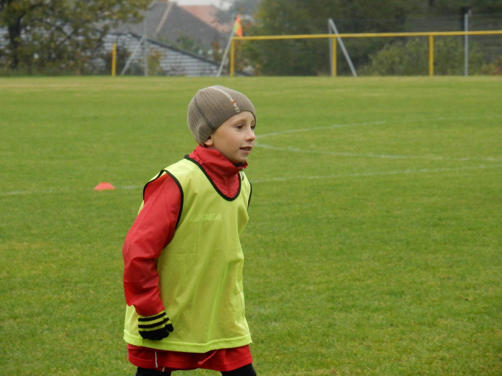 marek